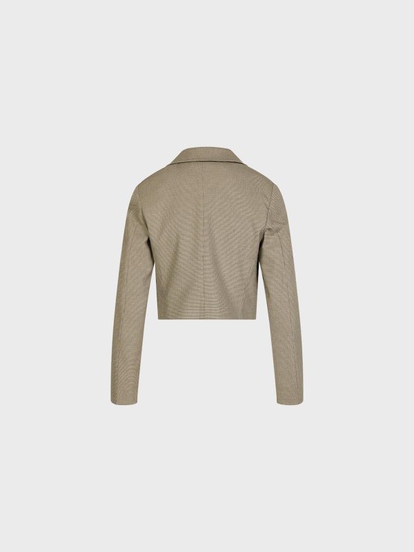 Blazer In Micro Check